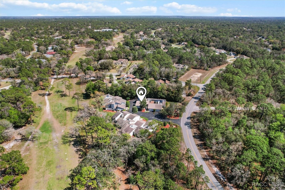 10 Pinewood Gardens, Homosassa, Florida image 43