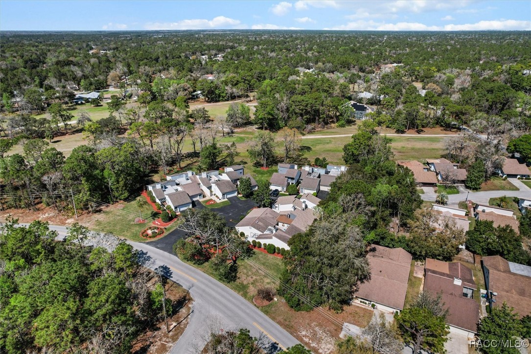 10 Pinewood Gardens, Homosassa, Florida image 44