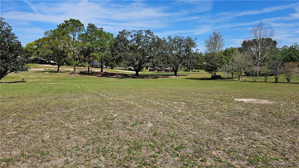 479 E Epsom Court, Hernando, Florida image 21