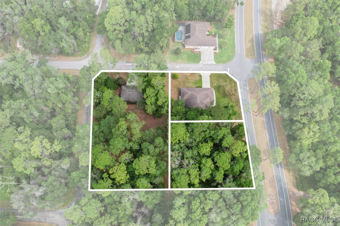 934 W Maximilian Place, Citrus Springs, Florida image 2