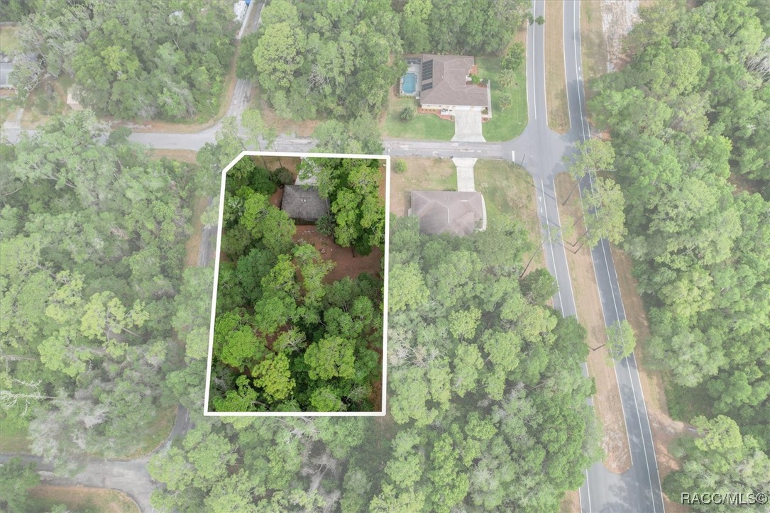 934 W Maximilian Place, Citrus Springs, Florida image 49