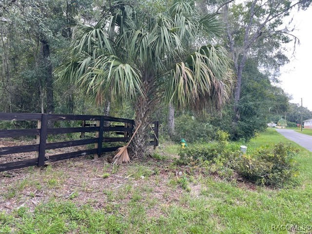 9553 W Deepwoods Drive, Crystal River, Florida image 9