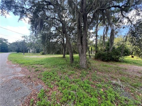 A home in Homosassa