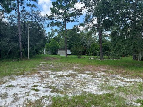 A home in Homosassa