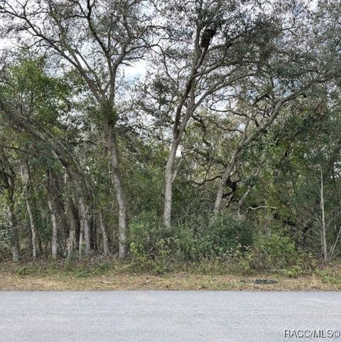 56 N Fresno Avenue Hernando FL 34442