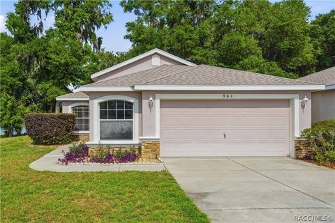 Homes For Sale - 964 Pritchard Island Road<br/> Citrus County, Inverness, FL 34450