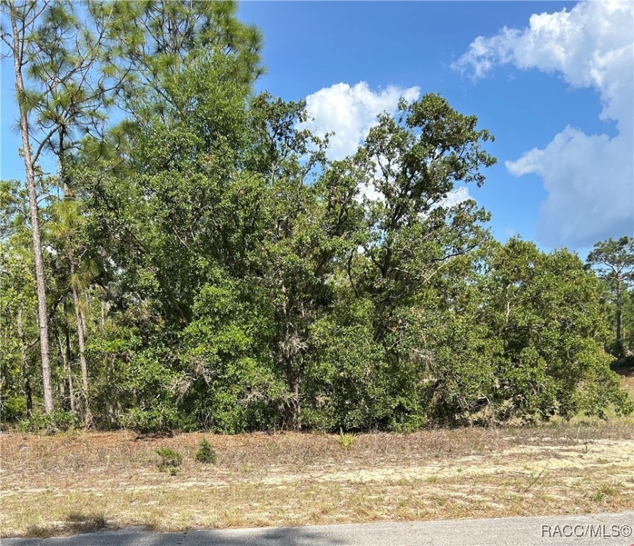 9857 N Lathyrus Terrace, Citrus Springs, Florida image 1