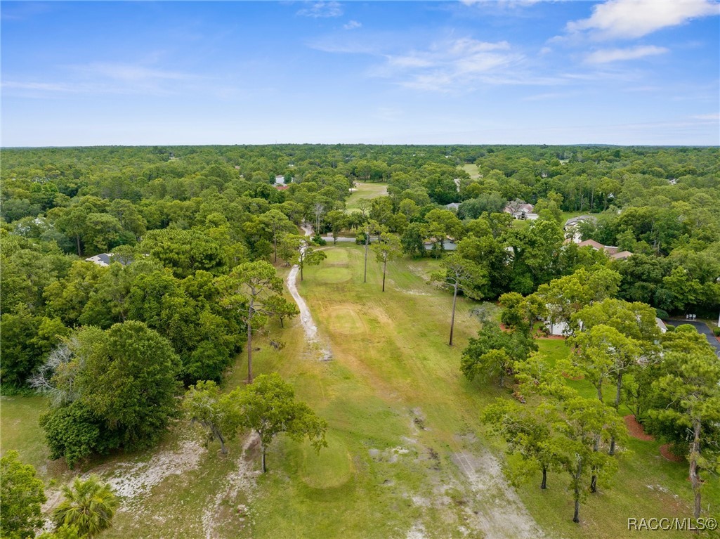 5 Pinewood Gardens, Homosassa, Florida image 33
