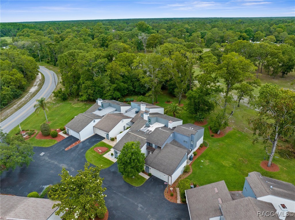 5 Pinewood Gardens, Homosassa, Florida image 31