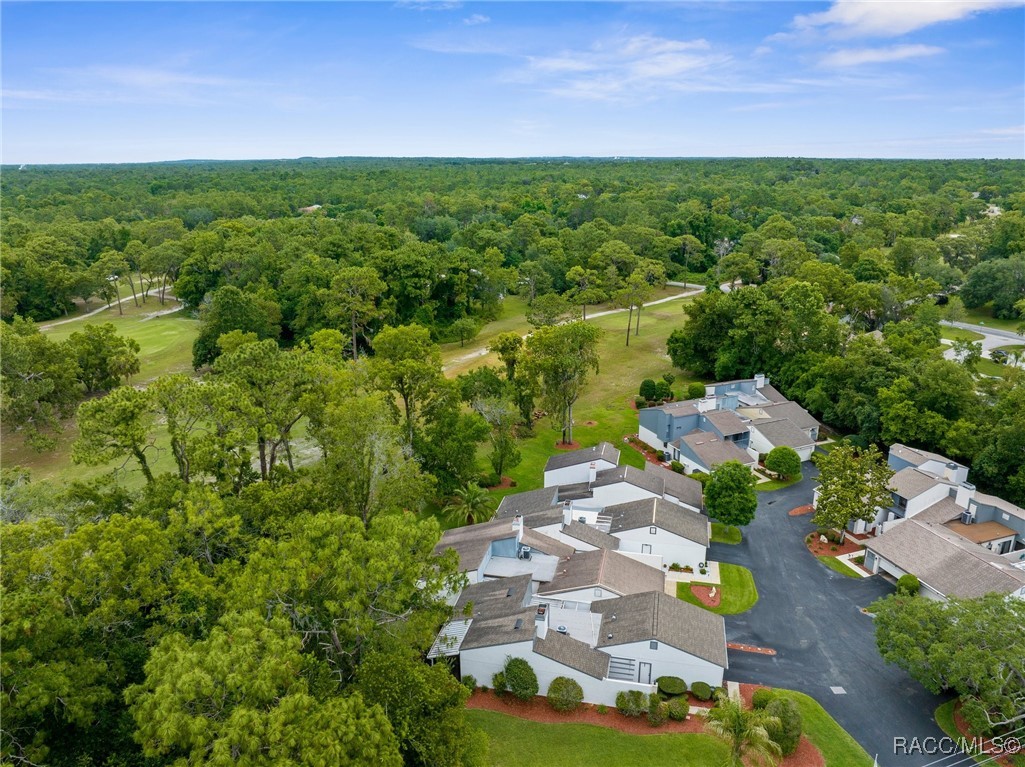 5 Pinewood Gardens, Homosassa, Florida image 32