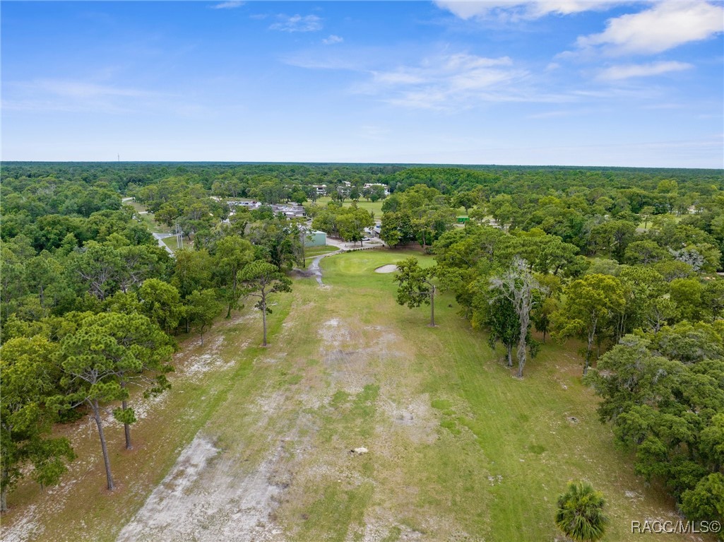 5 Pinewood Gardens, Homosassa, Florida image 34