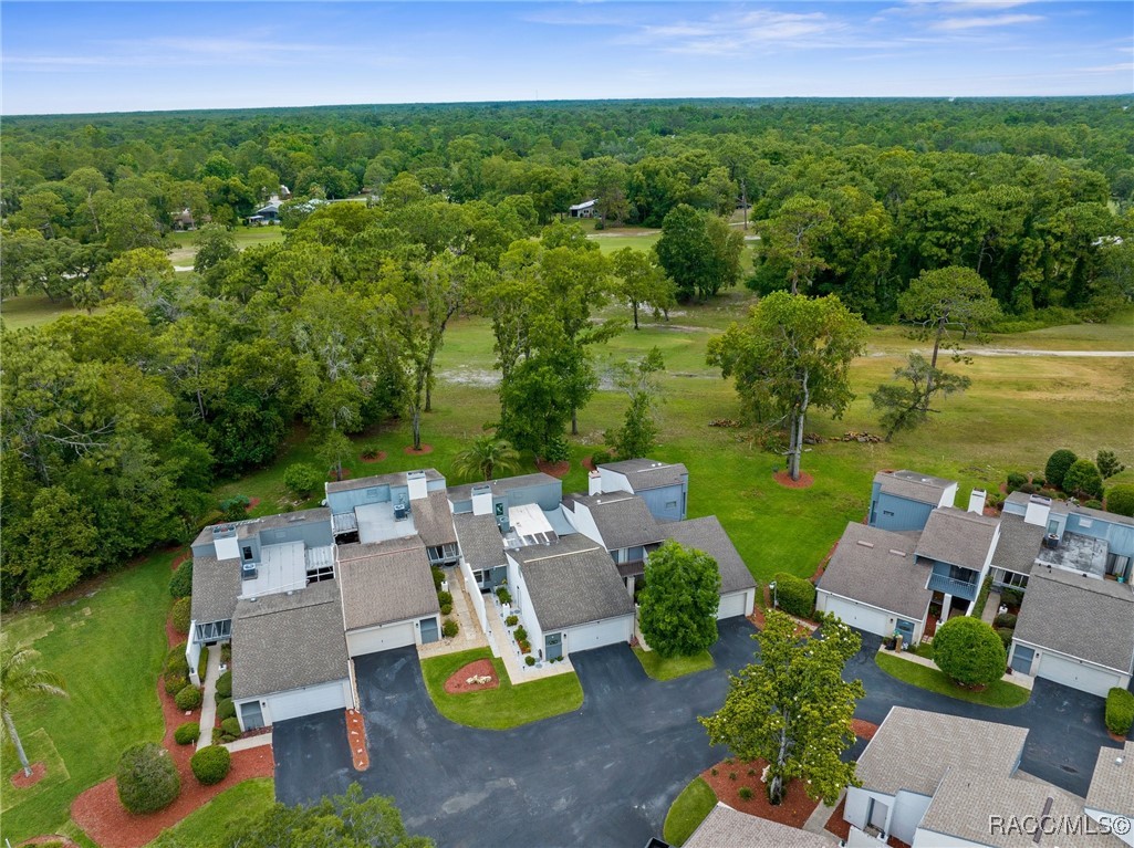 5 Pinewood Gardens, Homosassa, Florida image 30