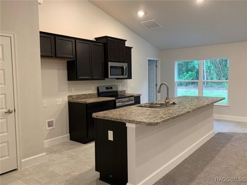 7769 N Darby Drive Citrus Springs FL 34433