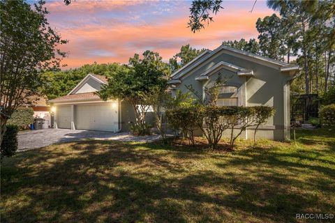 10 Boxleaf Court S Homosassa FL 34446