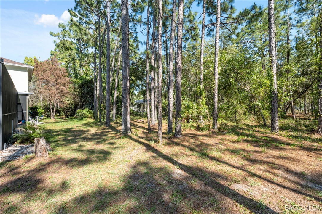 10 Boxleaf Court, Homosassa, Florida image 46