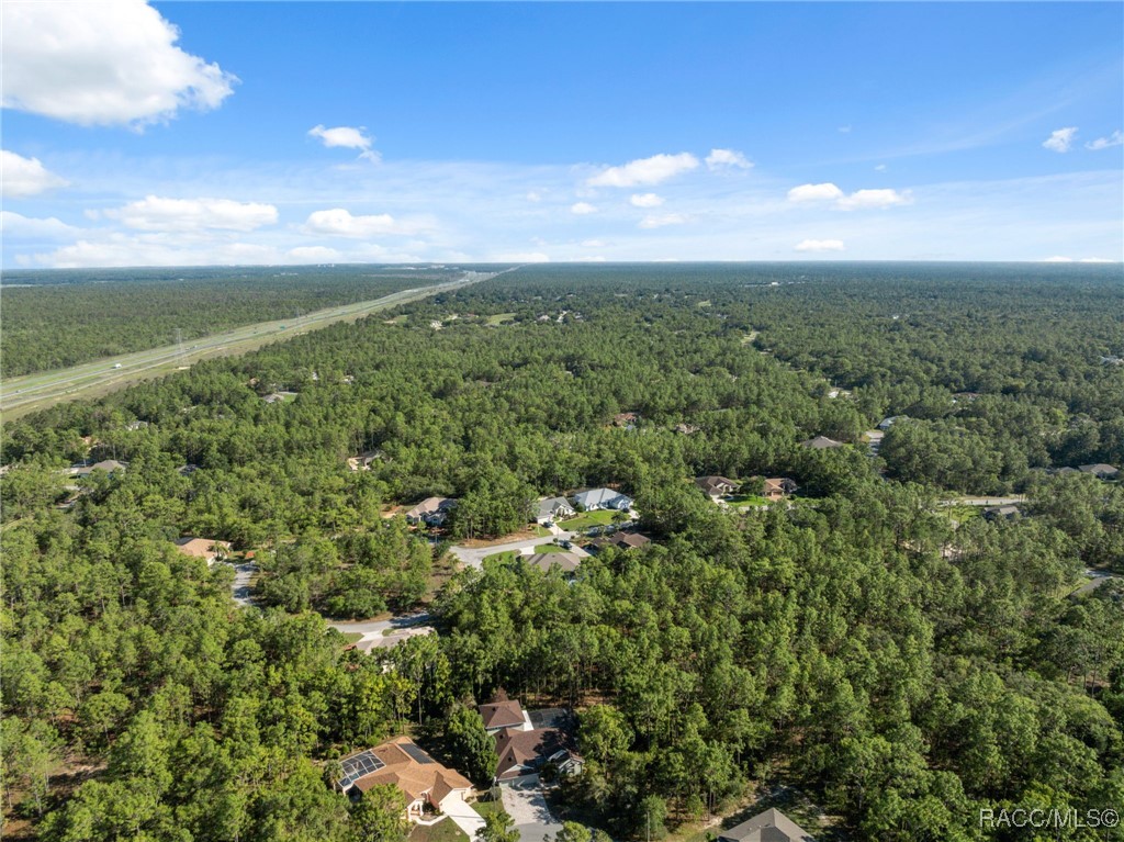10 Boxleaf Court, Homosassa, Florida image 50