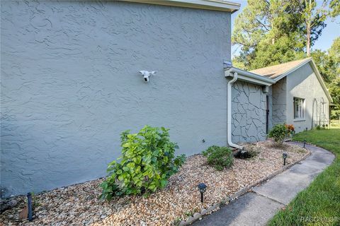 A home in Homosassa