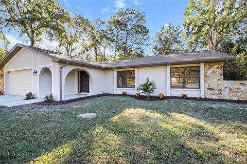 A home in Homosassa