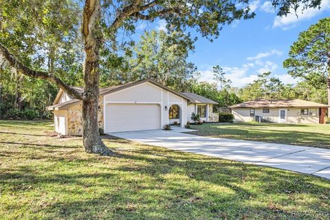 A home in Homosassa