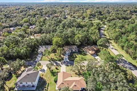 A home in Homosassa