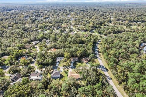 A home in Homosassa