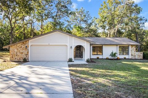 A home in Homosassa