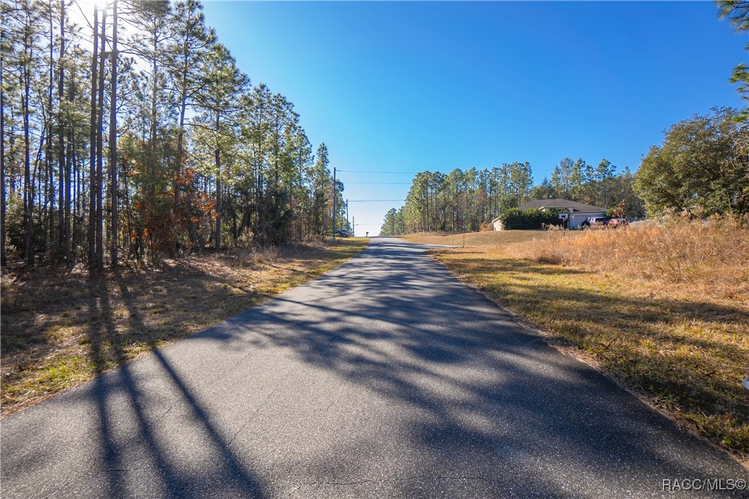 7845 N Valhalla Drive, Citrus Springs, Florida image 4