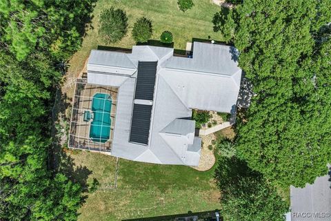 A home in Homosassa