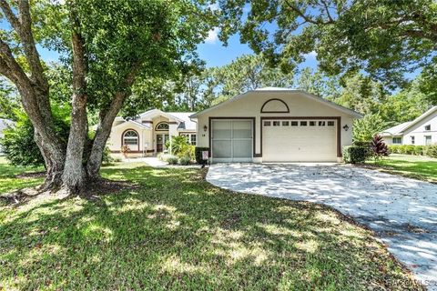 A home in Homosassa