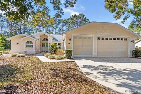 14 Linder Circle Homosassa FL 34446