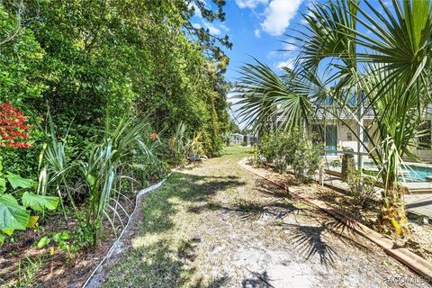 A home in Homosassa