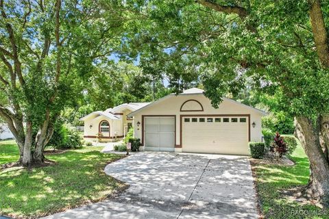 A home in Homosassa