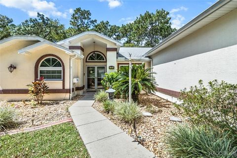 A home in Homosassa