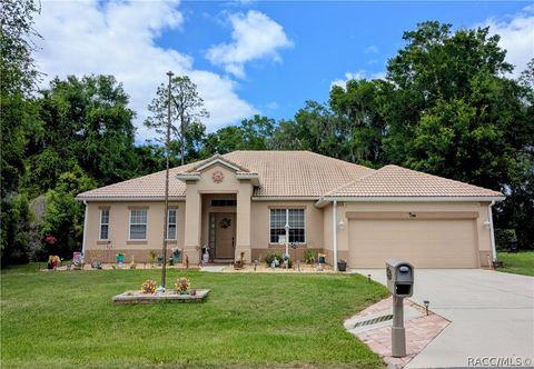 Homes For Sale - 2864 N Appledore Path<br/> Hernando, FL 34442