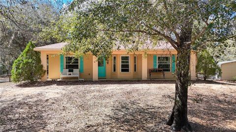 Homes For Sale - 10022 N Twinflower Terrace<br/> Crystal River, FL 34428