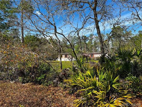 A home in Dunnellon