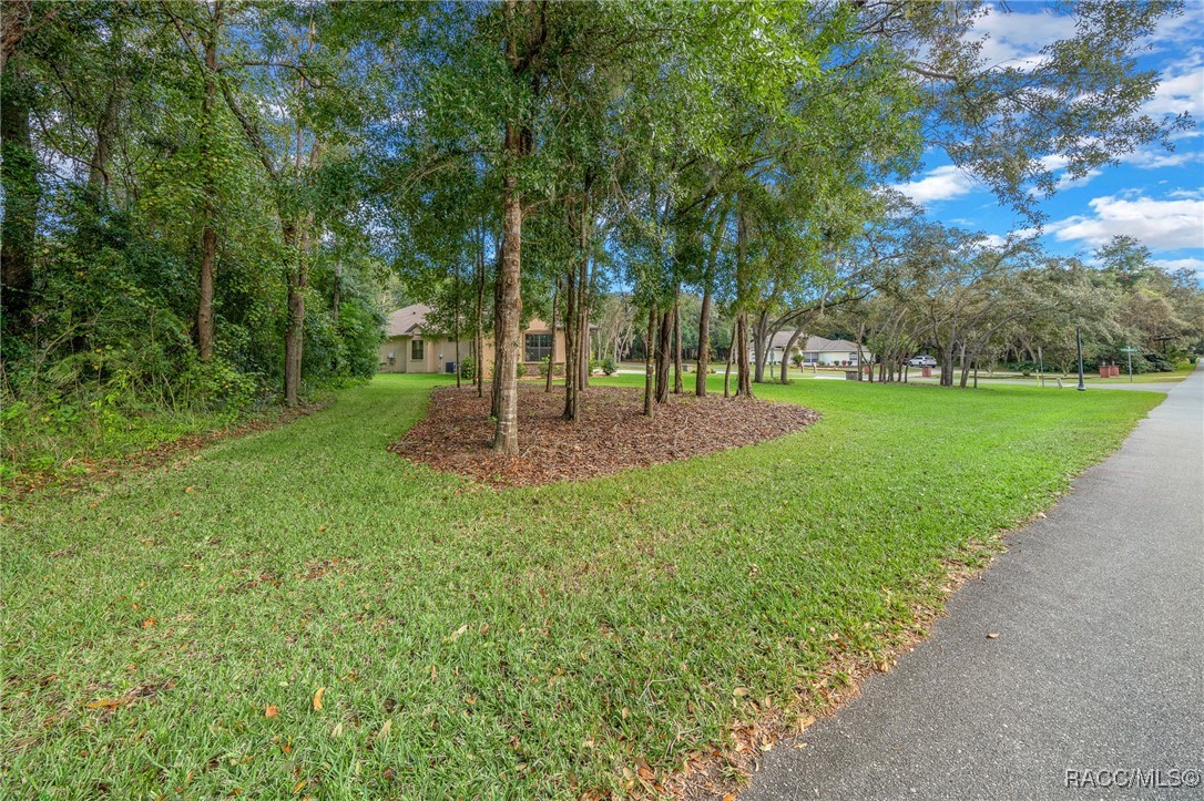 29 W Ipswich Lane, Hernando, Florida image 20