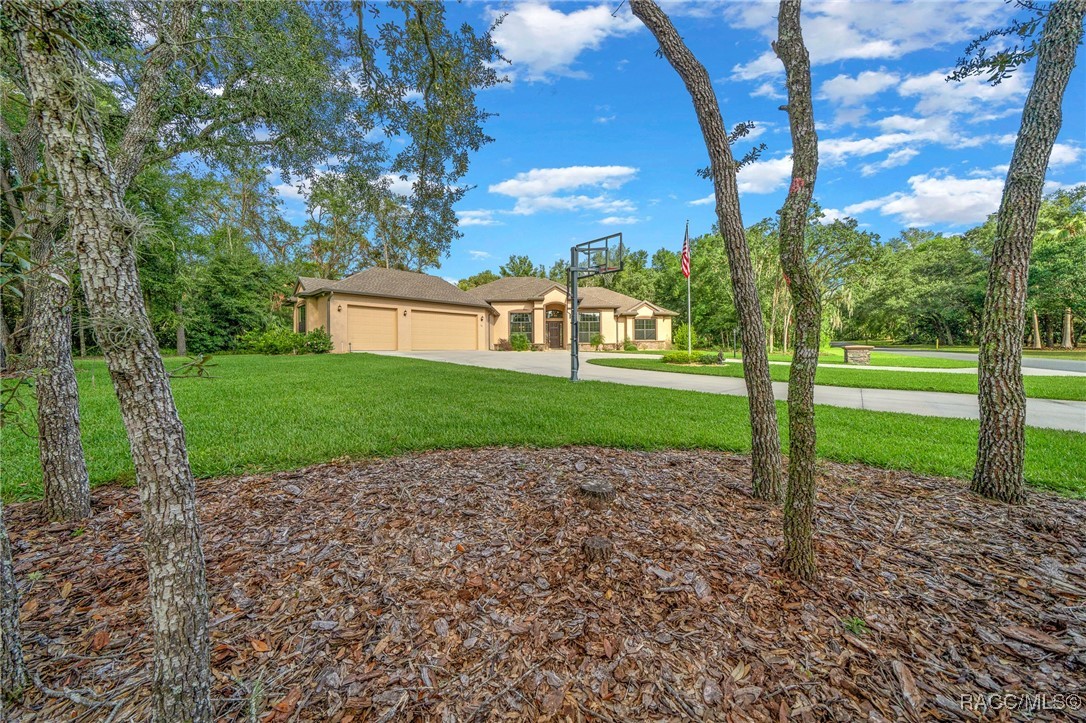 29 W Ipswich Lane, Hernando, Florida image 17