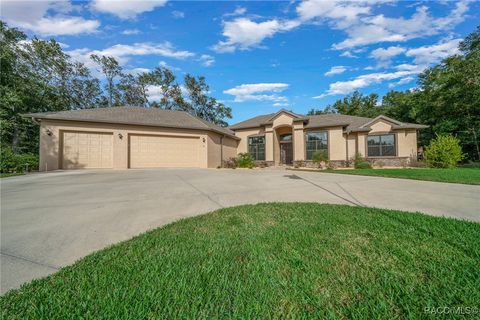 A home in Hernando