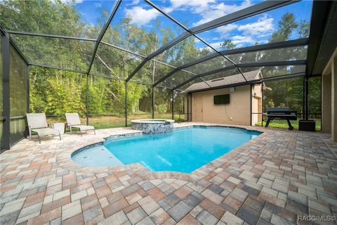 A home in Hernando