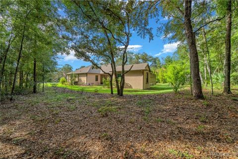 A home in Hernando