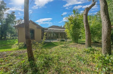 A home in Hernando