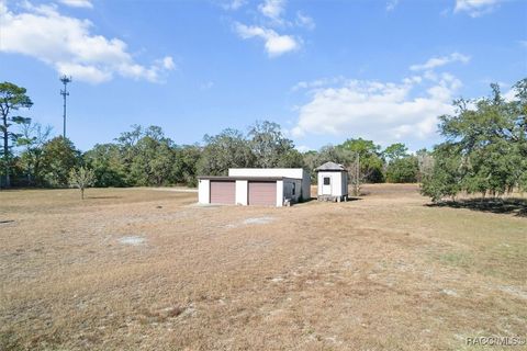 A home in Homosassa