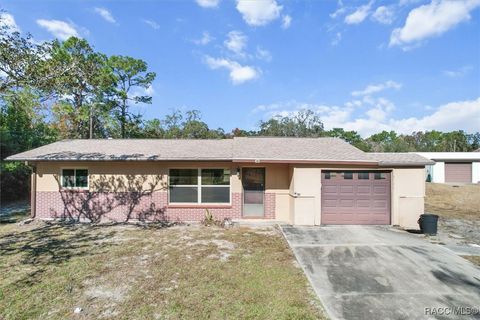 A home in Homosassa