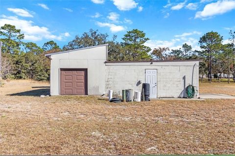 A home in Homosassa