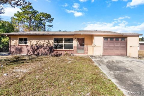 A home in Homosassa