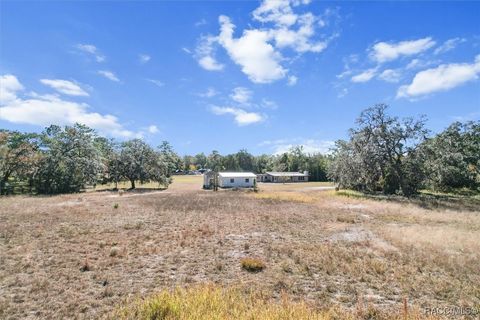 A home in Homosassa