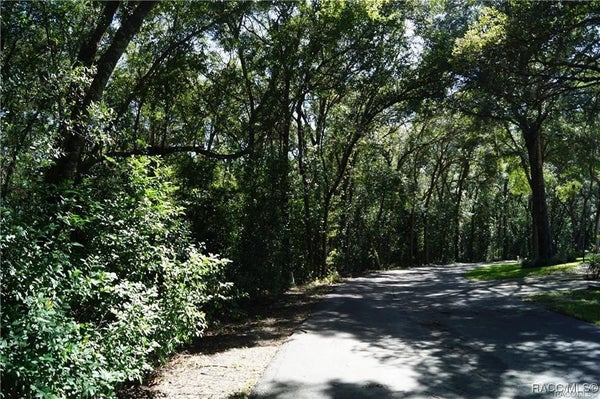 3505 N WOODGATE DR, BEVERLY HILLS, FL 34465 - Image 90af0df1dfbb2db376fb7e77d45e0e00/1289254517