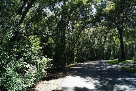 Vacant Land For Sale - 3505 N Woodgate Drive<br/> Beverly Hills, FL 34465