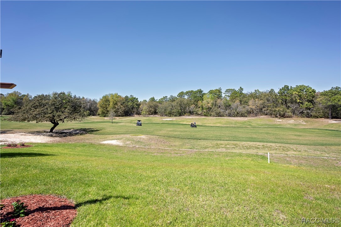 539 W Back Nine Circle, Beverly Hills, Florida image 49